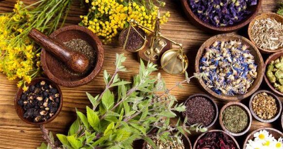 Herbs to get rid of insects