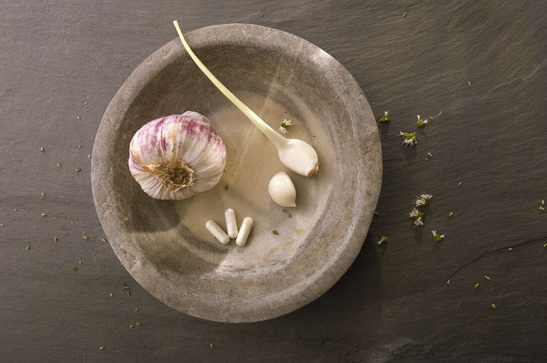 garlic against insects