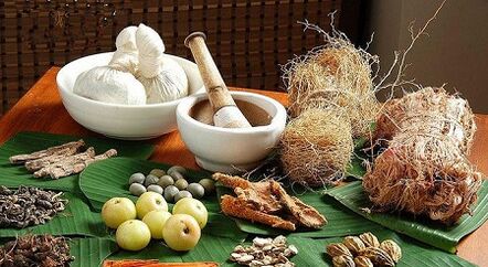 Folk remedies against parasites in the body