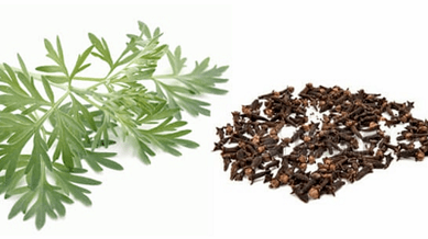 Clove and worm