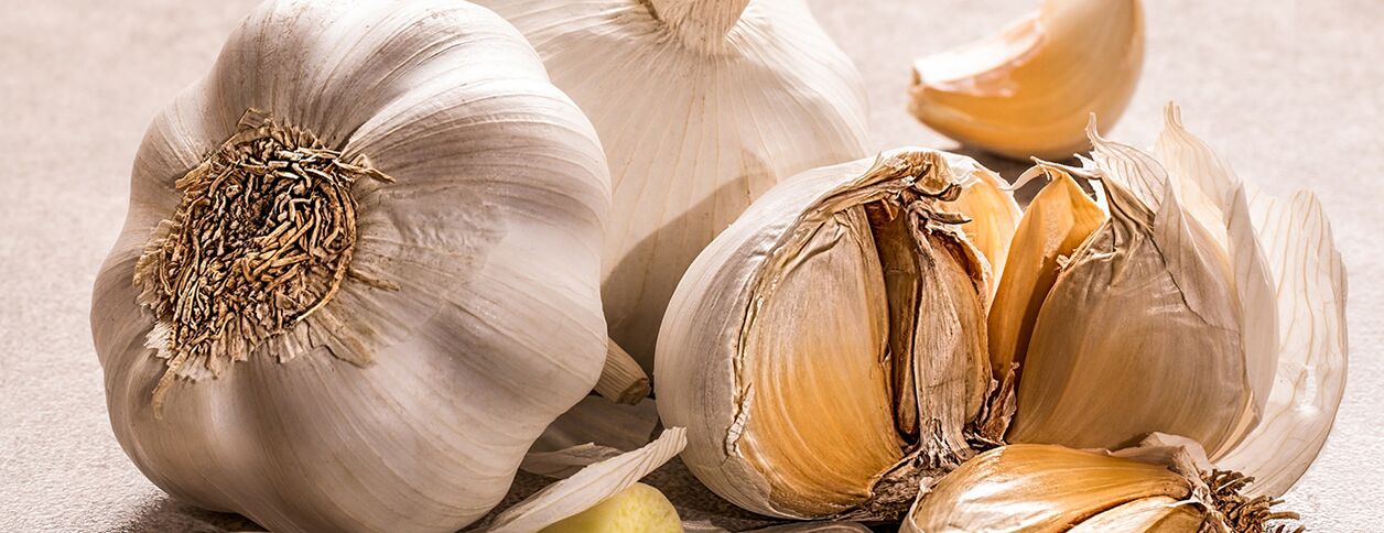 garlic against insects