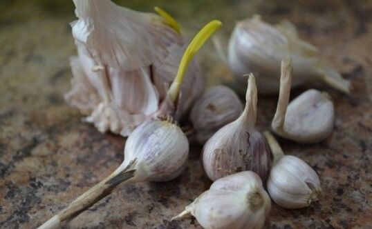 Garlic to remove parasites from the body